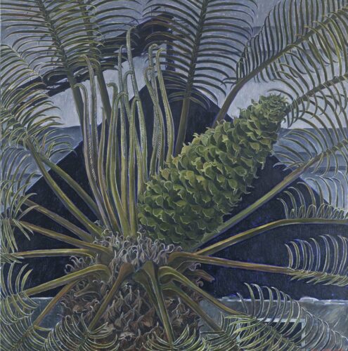 CYCAD AND COAL - Ipswich - 1992 - 90x90cm